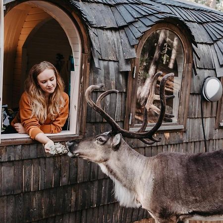 Igluhut - Sleep With Reindeer Villa เอสโป ภายนอก รูปภาพ