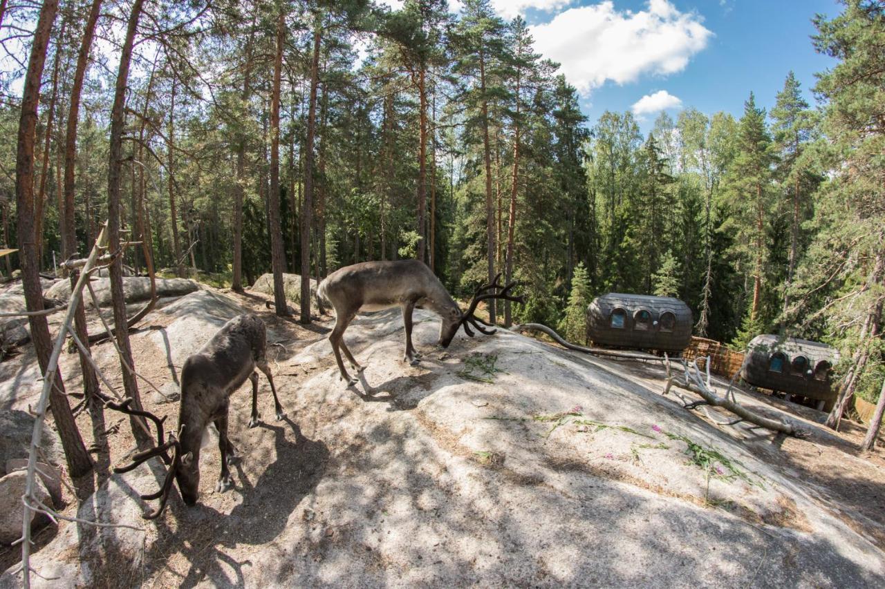 Igluhut - Sleep With Reindeer Villa เอสโป ภายนอก รูปภาพ