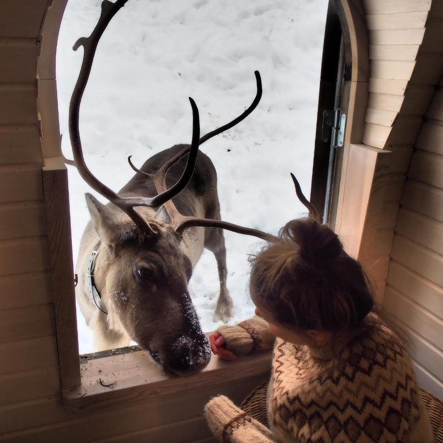 Igluhut - Sleep With Reindeer Villa เอสโป ภายนอก รูปภาพ