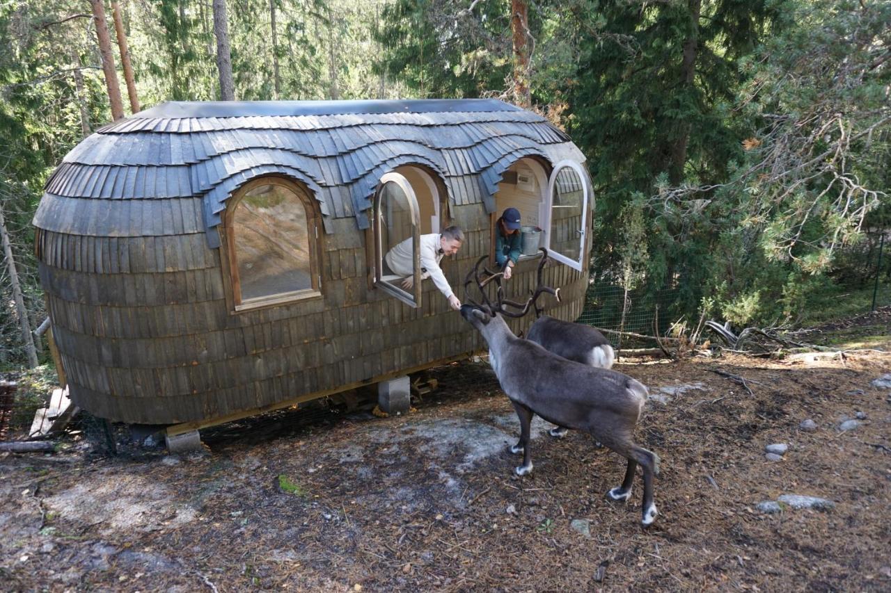 Igluhut - Sleep With Reindeer Villa เอสโป ภายนอก รูปภาพ