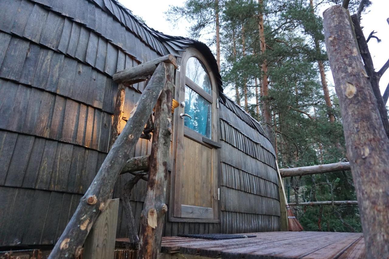 Igluhut - Sleep With Reindeer Villa เอสโป ภายนอก รูปภาพ